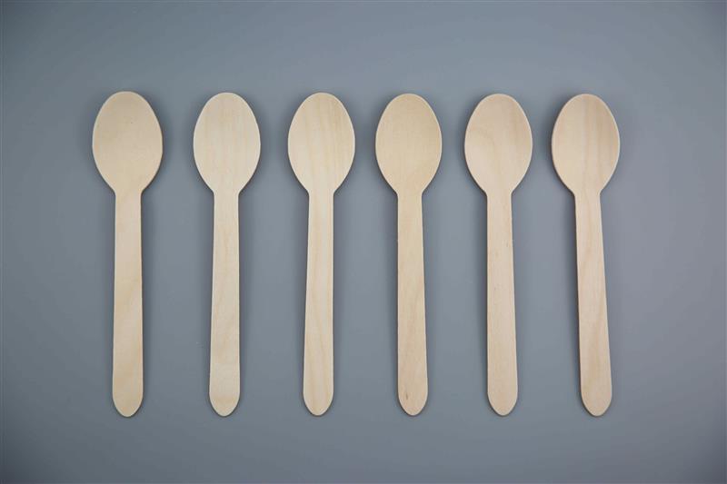 Spoon (6)