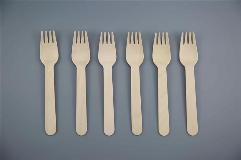 Fork (5)