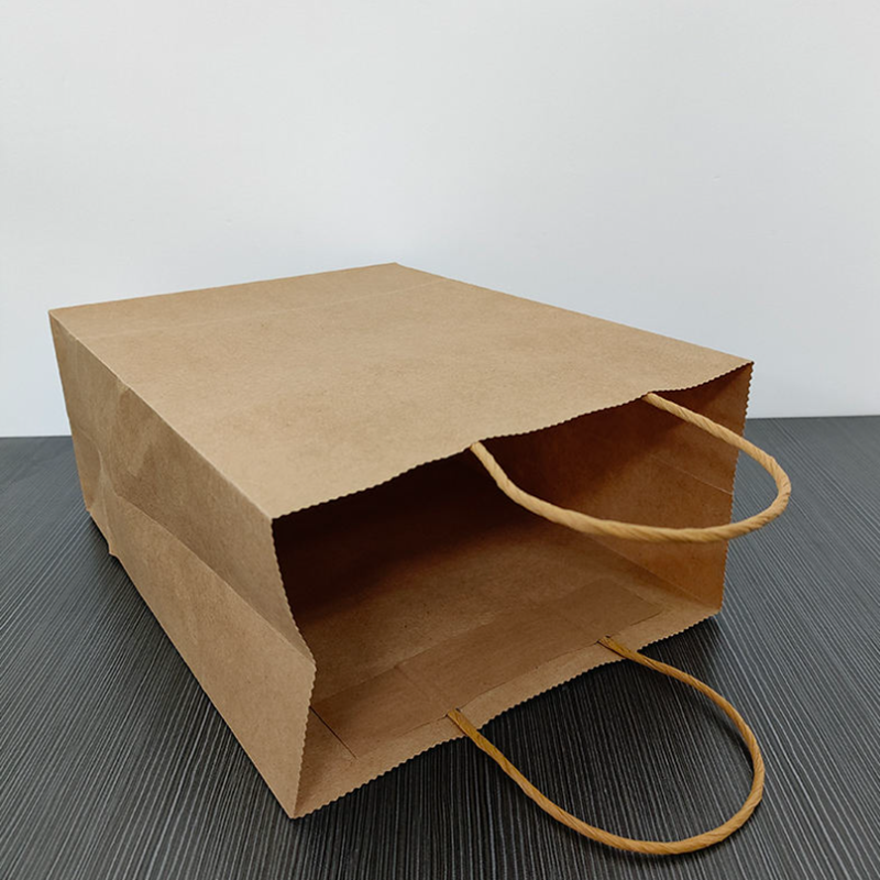 kraft paper bag (3)